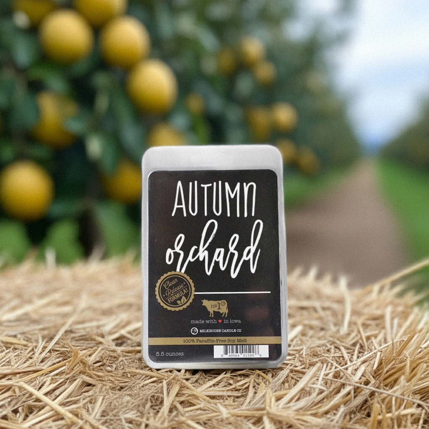 Autumn Orchard Wax Melt | 5.5 oz Melt - Image 5
