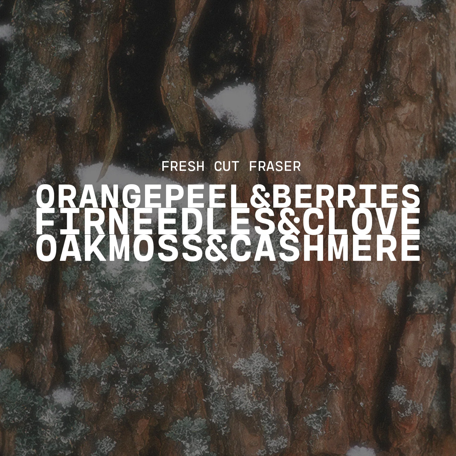 Fresh Cut Fraser | Car Freshener - Image 3