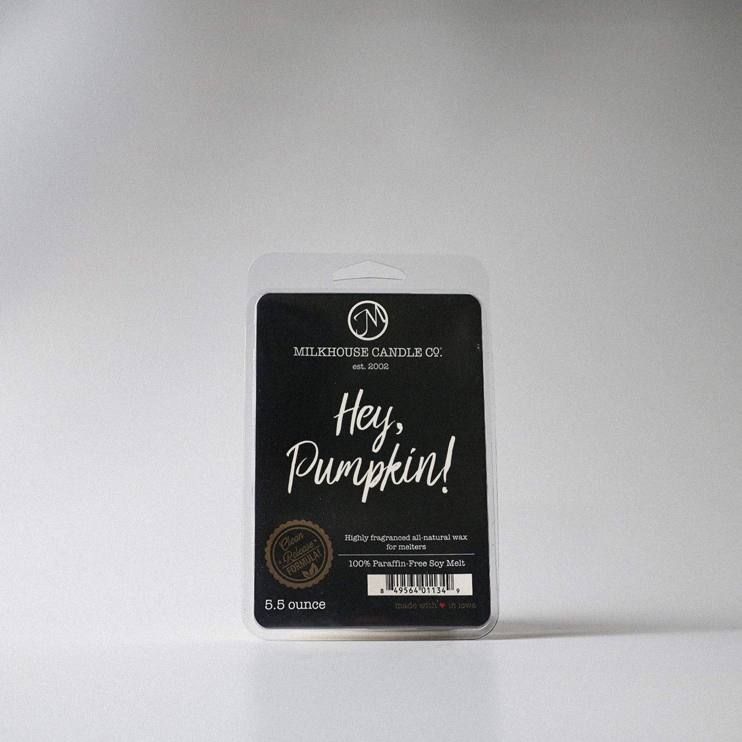 Hey, Pumpkin! Wax Melt | 5.5 oz Melt - Image 4
