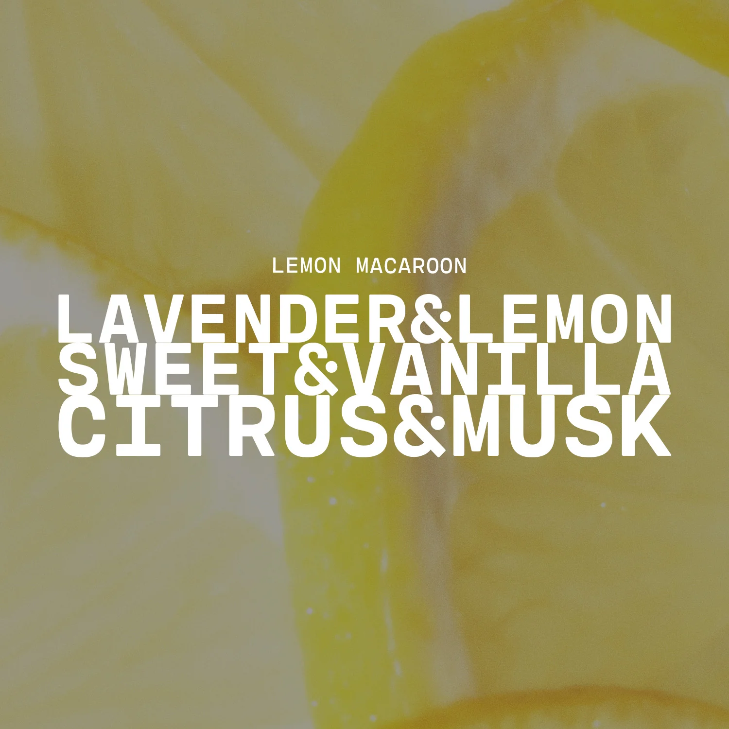 Lemon Macaroon Candle | 5 oz Cream Jar - Image 3