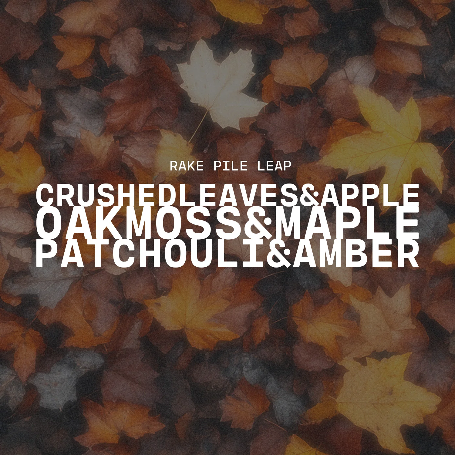 Rake, Pile, Leap! | Limited Edition Car Freshener - Image 3