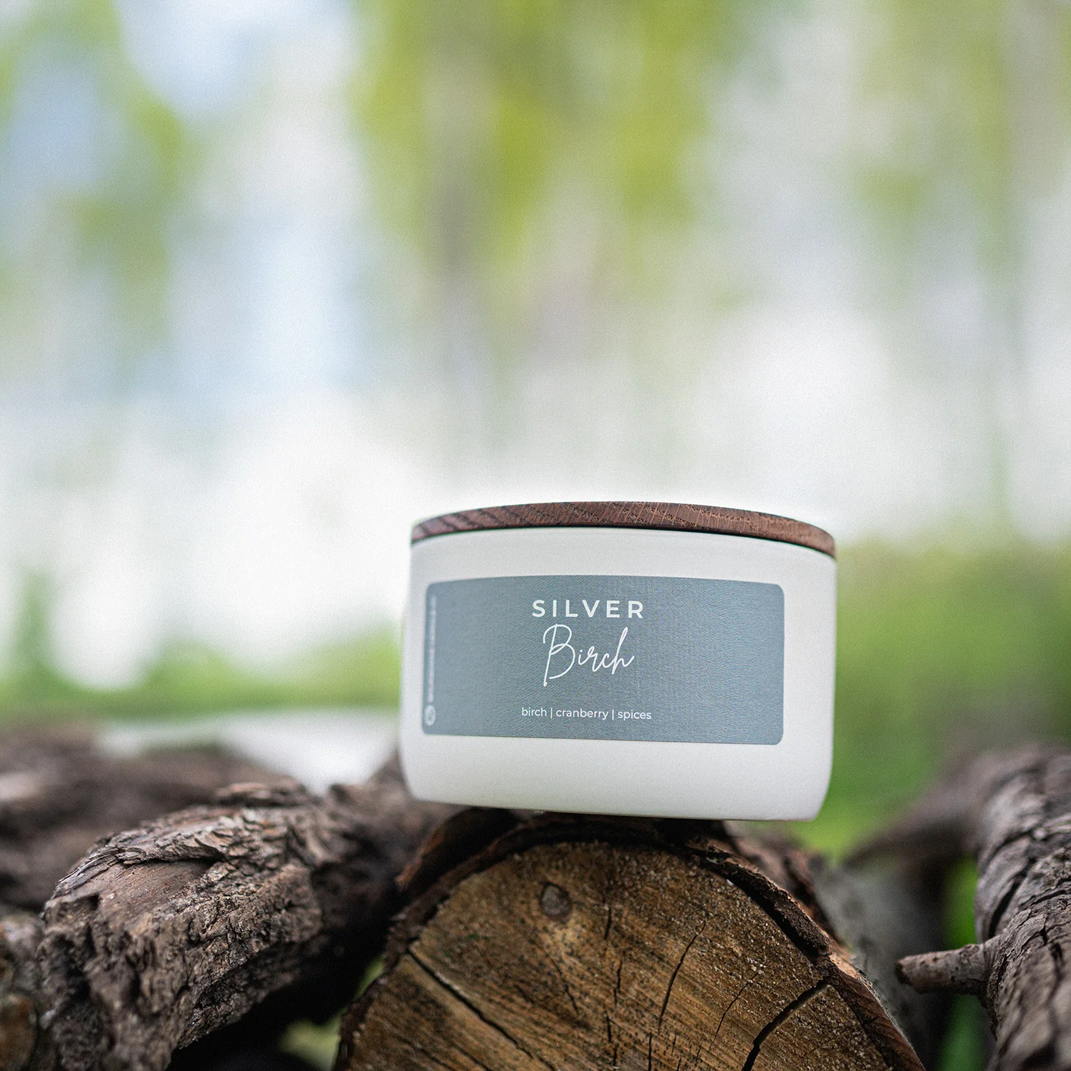 Silver Birch Candle | 10 oz Signature Statement - Image 4