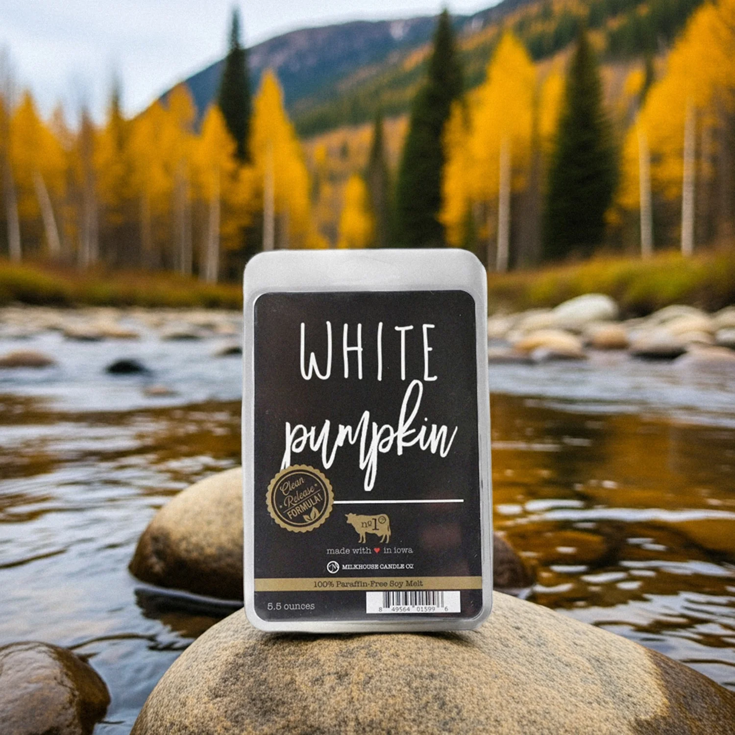 White Pumpkin Wax Melt | 5.5 oz Melt - Image 5